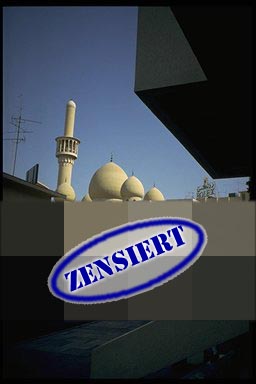 Moshee am anderen Ufer